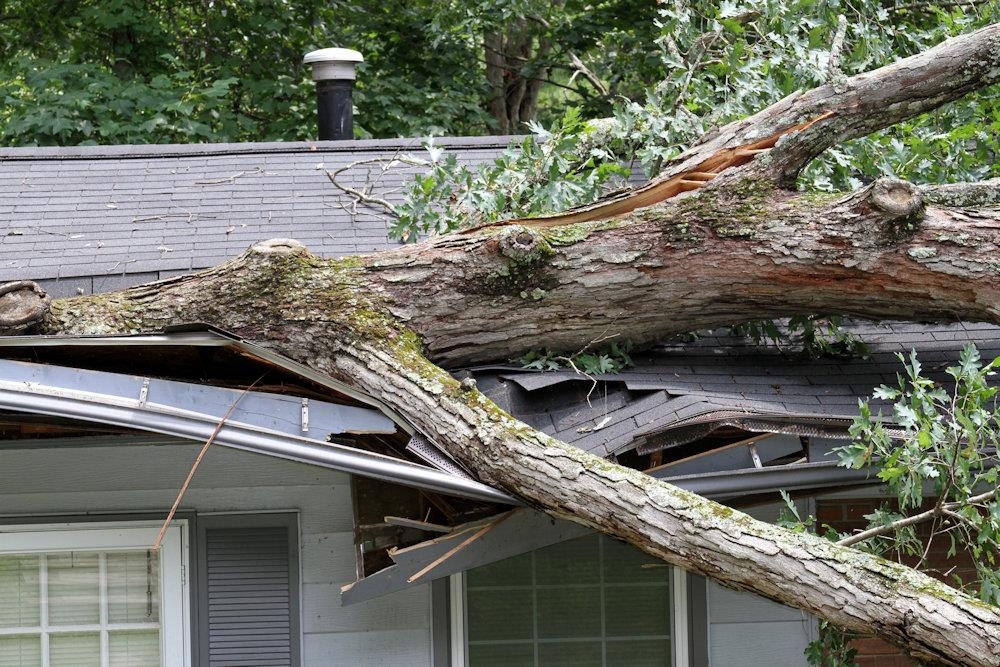 storm damaged roof